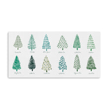 Christmas Trees