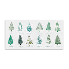 Christmas Trees II
