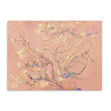 Cherry Blossoms