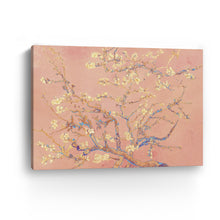 Cherry Blossoms