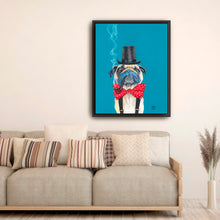 Pug Gentleman