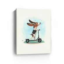 Basset on Wheels