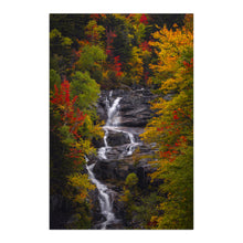 Cradled in Color