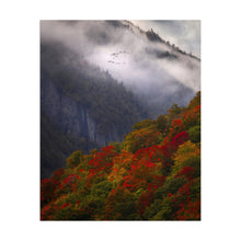 Fall Or Nothing at All