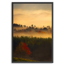 Layers of Light