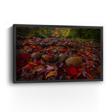 Fallen Leaves And Stones