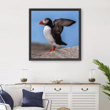 Puffin Portrait