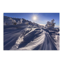 Algonquin Winter Sunstar