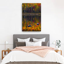 Birch Trunks Reflection - Sun and Shadow