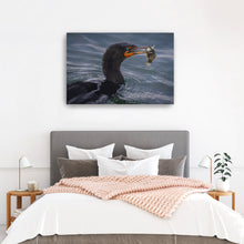 Cormorant and Fish - Maine Coast