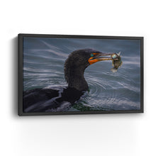 Cormorant and Fish - Maine Coast