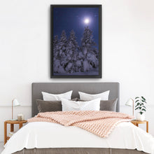 Snowy Moonlit Trees