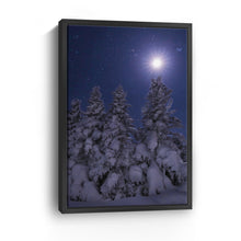Snowy Moonlit Trees