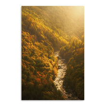 Pocketful of Gold