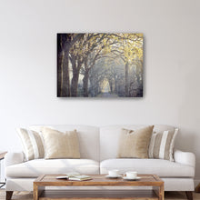 Avenue of Trees