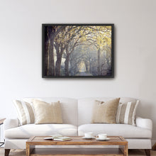 Avenue of Trees