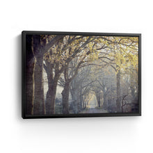 Avenue of Trees