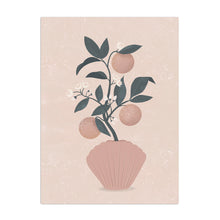 Shell Vase