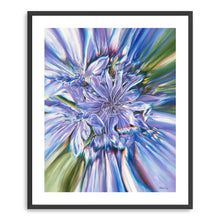 Chicory Blossom