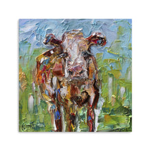 Cute Cow