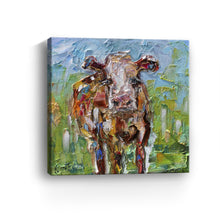 Cute Cow