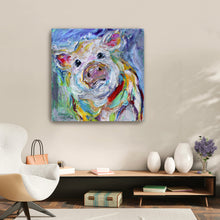 Cute Piggy