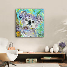 Koala Bear