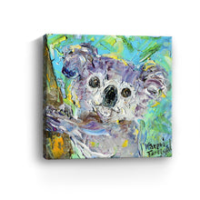 Koala Bear