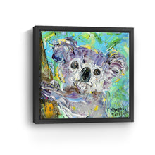 Koala Bear
