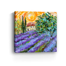 Provence Lavender Sunshine