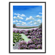 Lavender Field