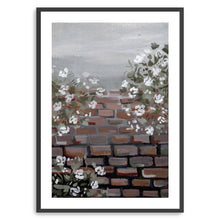 Foggy Wall Flower