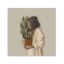Snake Plant