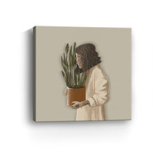 Snake Plant