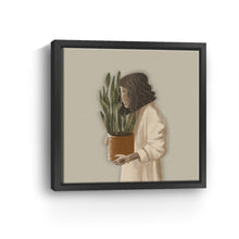 Snake Plant