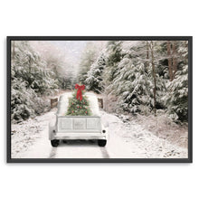 White Vintage Truck and Trees