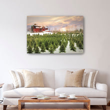 Tree Farm Red Barn Pick Your Tree