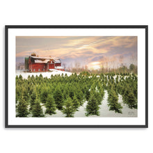 Tree Farm Red Barn Pick Your Tree