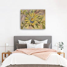 Asteriscus Graveolens