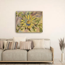 Asteriscus Graveolens