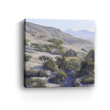 Ein Tamid Oasis Part 1