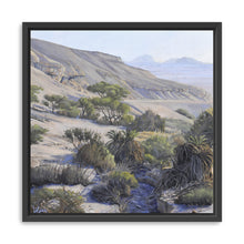 Ein Tamid Oasis Part 1