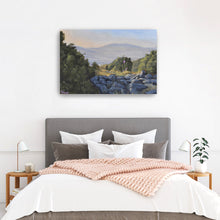 Hollyhocks in the Galilee