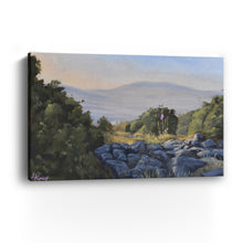 Hollyhocks in the Galilee