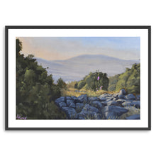 Hollyhocks in the Galilee