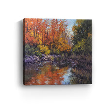 Fall at Etobicoke Creek