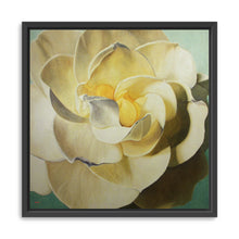 Gardenia
