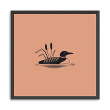 Loon (Salmon)