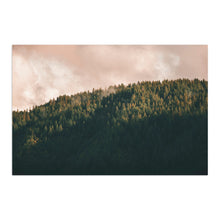 Tree Tops