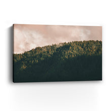 Tree Tops